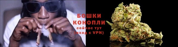 гашиш Белокуриха