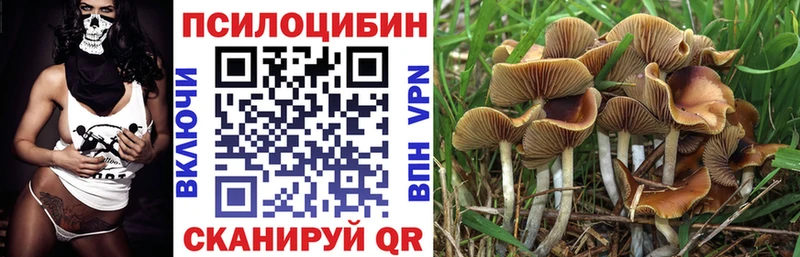 хочу наркоту  мега сайт  Галлюциногенные грибы Cubensis  Волчанск 